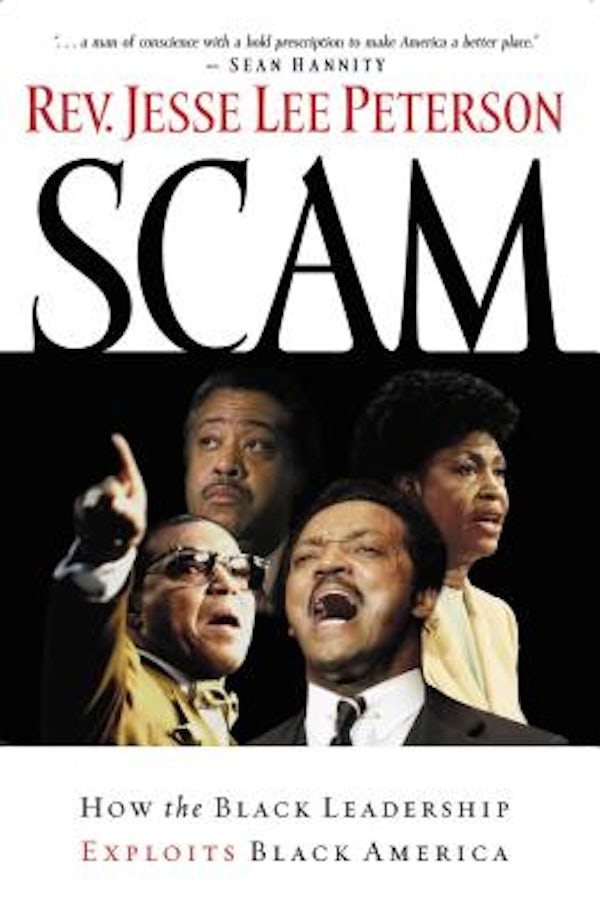 Cover image for The Scam, isbn: 9781595550453