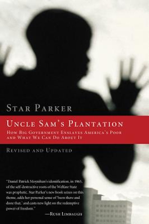 Cover image for The Uncle Sam's Plantation, isbn: 9781595552235