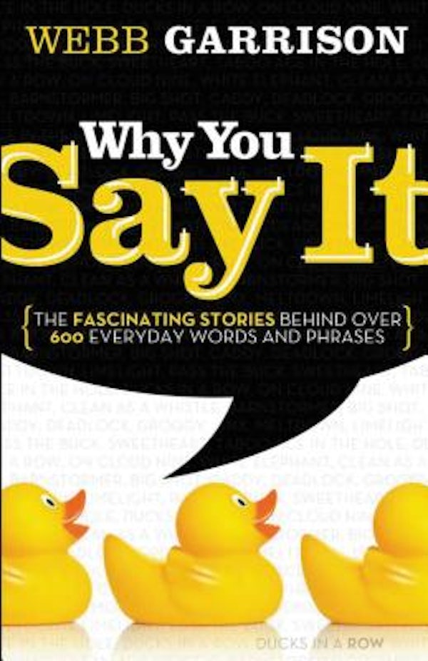 Cover image for The Why You Say It, isbn: 9781595552990