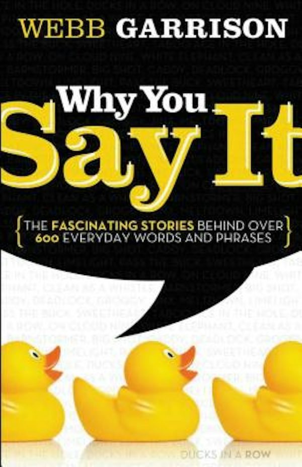Cover image for The Why You Say It, isbn: 9781595552990