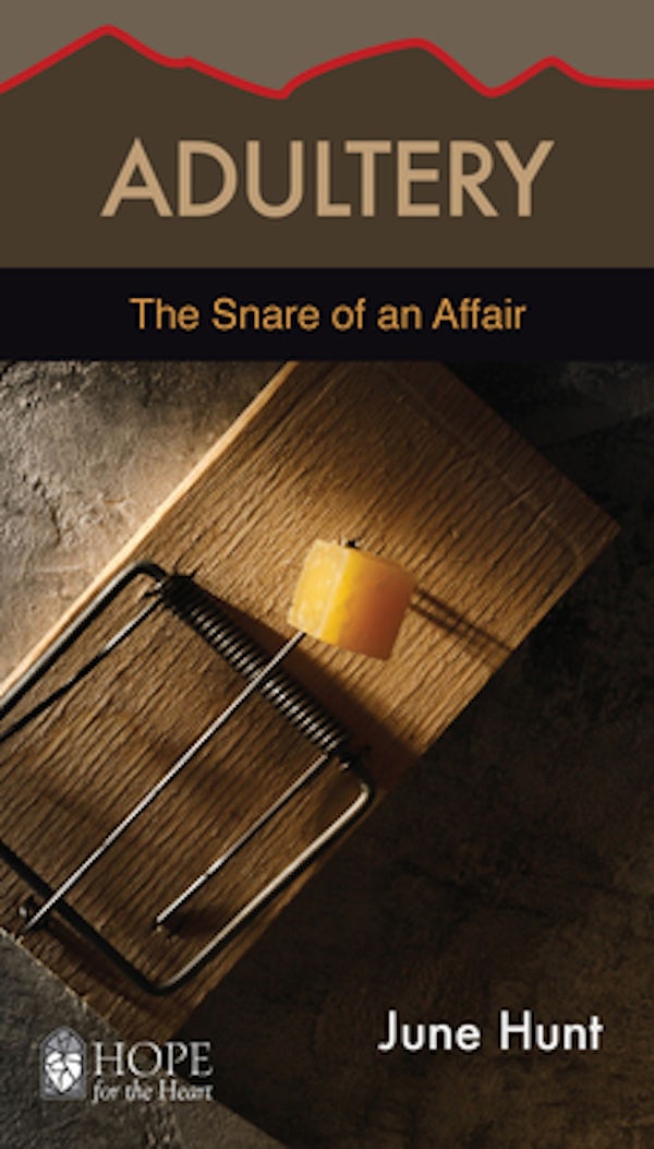 Cover image for Adultery, isbn: 9781596366848