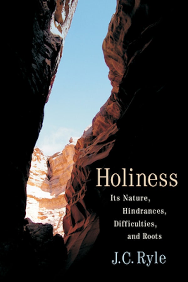 Cover image for Holiness, isbn: 9781598562224