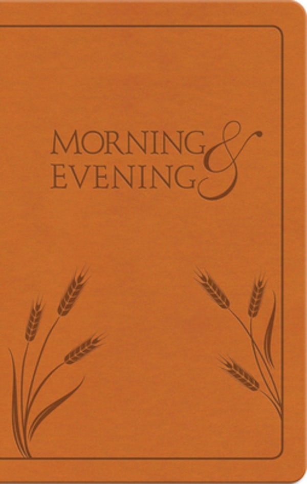 Cover image for Morning and Evening, isbn: 9781598565706