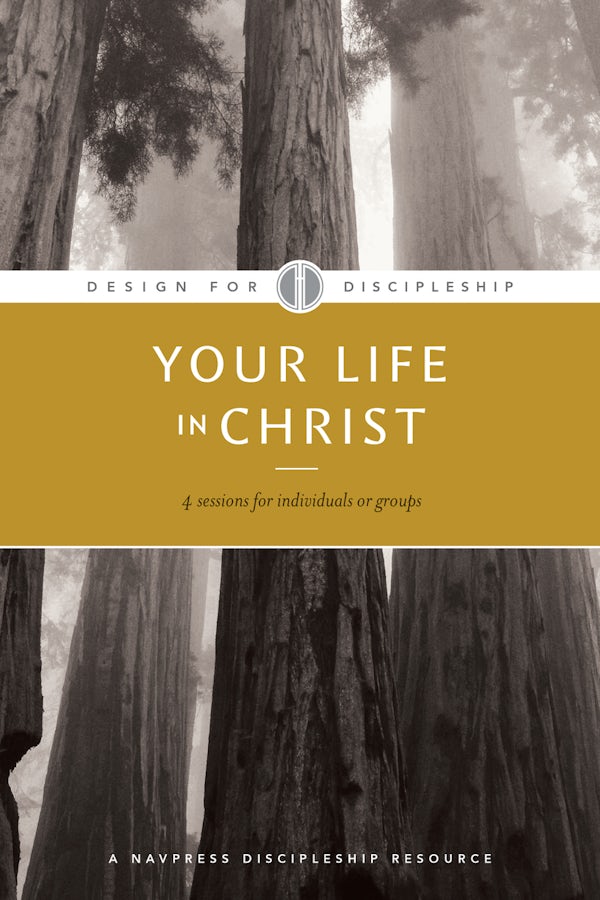 Cover image for Your Life in Christ, isbn: 9781600060045