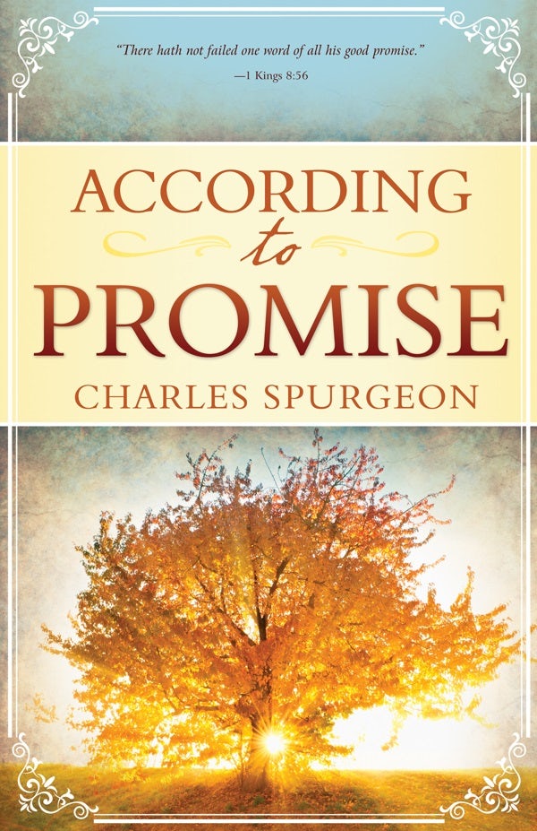 Cover image for According to Promise, isbn: 9781603746960