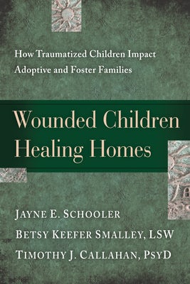 Cover image for Wounded Children, Healing Homes, isbn: 9781615215683
