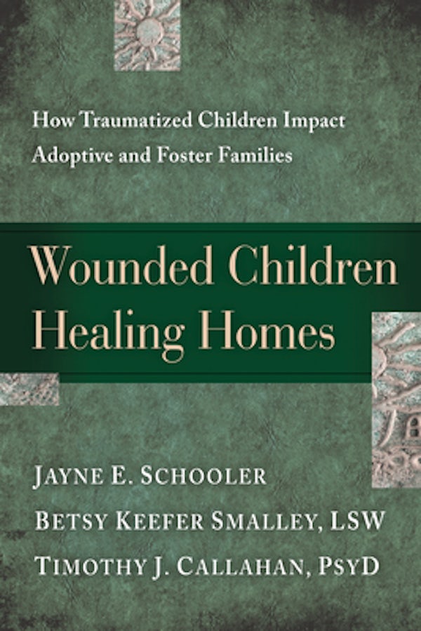 Cover image for Wounded Children, Healing Homes, isbn: 9781615215683