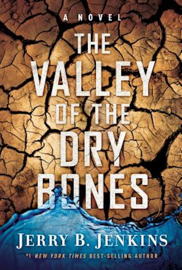 Cover image for The Valley of Dry Bones, isbn: 9781617950087