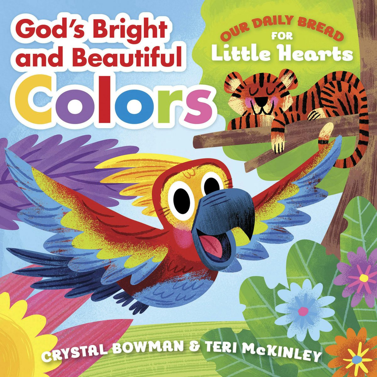 Cover image for God's Bright and Beautiful Colors, isbn: 9781627077392