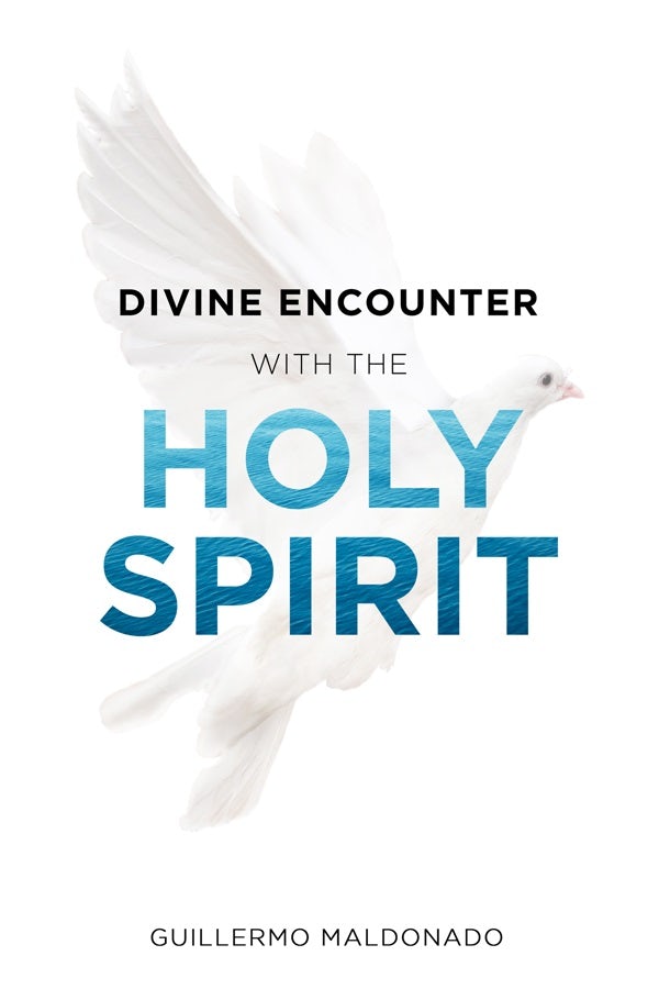 Cover image for Divine Encounter with the Holy Spirit, isbn: 9781629118987