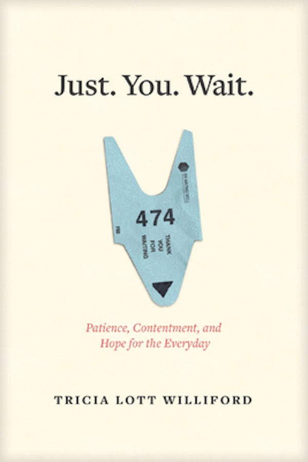 Cover image for Just. You. Wait., isbn: 9781631467509