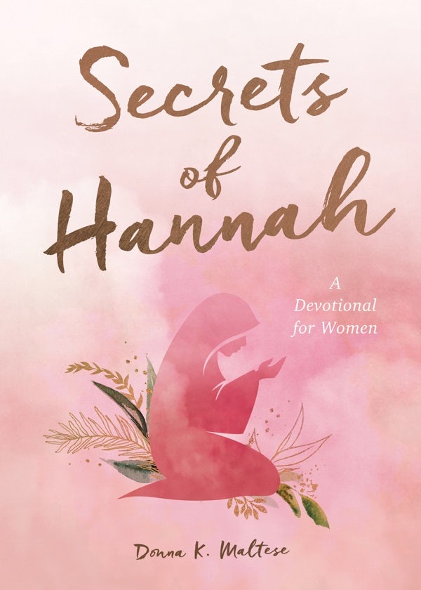 Cover image for Secrets of Hannah, isbn: 9781636091938