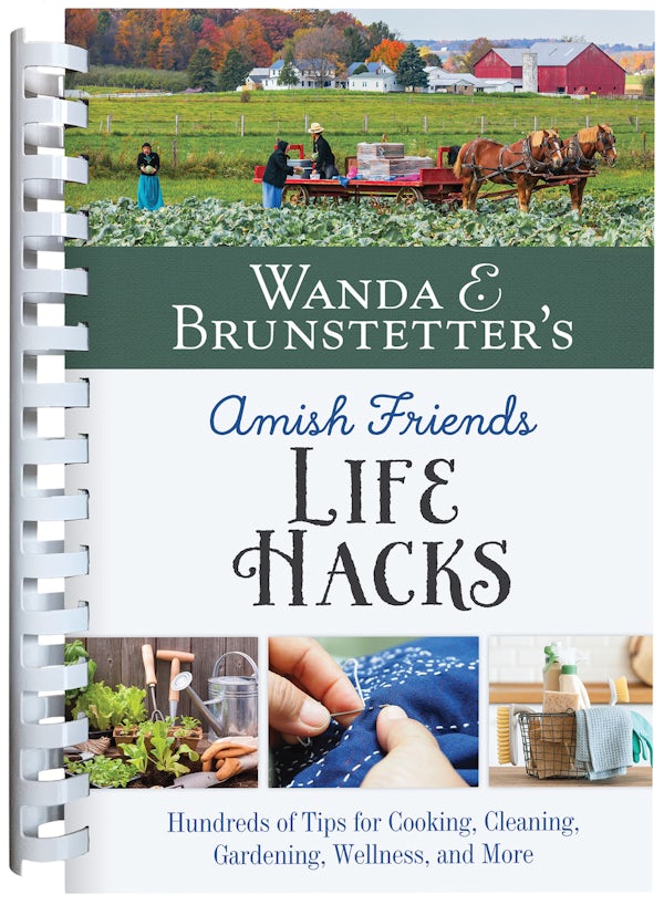 Cover image for Wanda E. Brunstetter's Amish Friends Life Hacks, isbn: 9781636096933