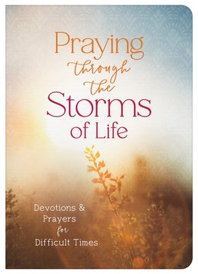 Cover image for Praying Through the Storms of Life, isbn: 9781636099972
