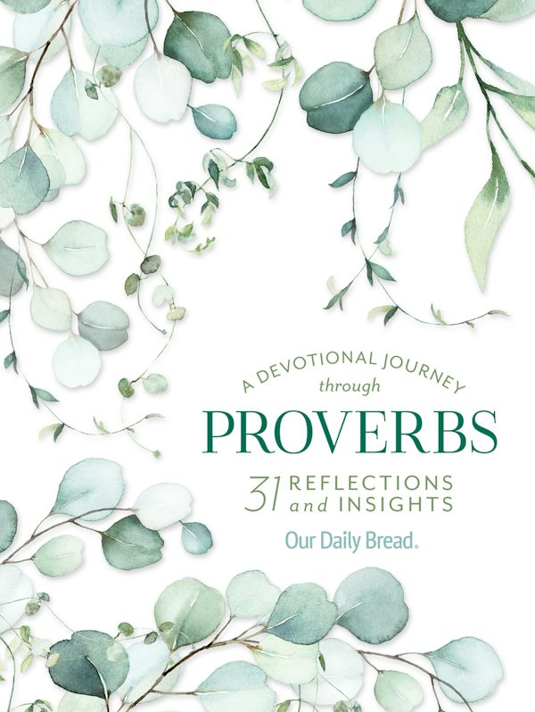 Cover image for A Devotional Journey Through Proverbs, isbn: 9781640700833
