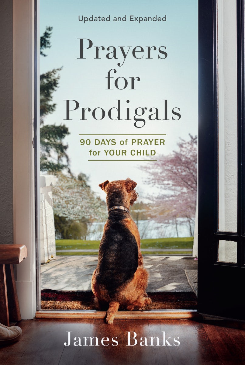 Cover image for Prayers for Prodigals, isbn: 9781640701403