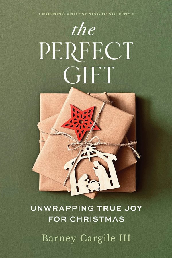 Cover image for The Perfect Gift, isbn: 9781640703377
