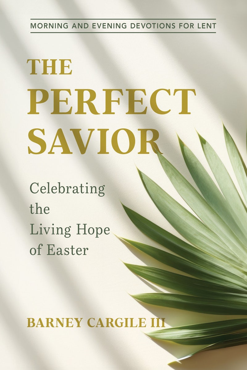 Cover image for The Perfect Savior, isbn: 9781640703704
