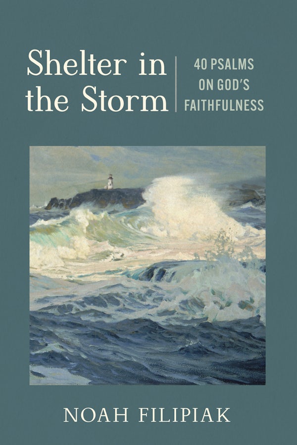 Cover image for Shelter in the Storm, isbn: 9781640705265