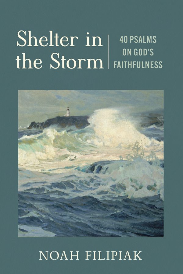 Cover image for Shelter in the Storm, isbn: 9781640705265
