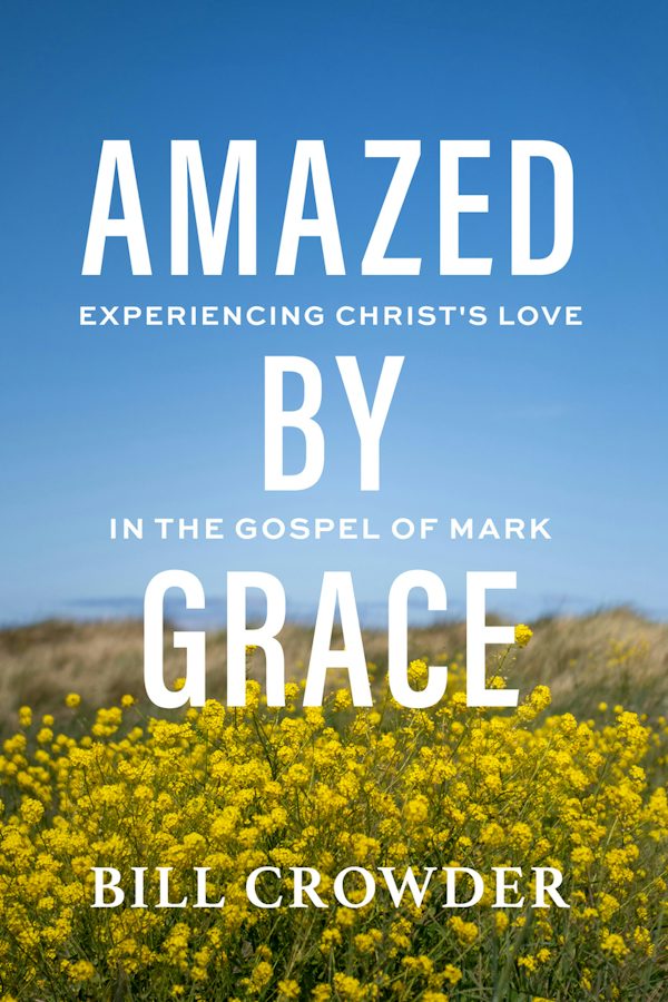 Cover image for Amazed by Grace, isbn: 9781640705869