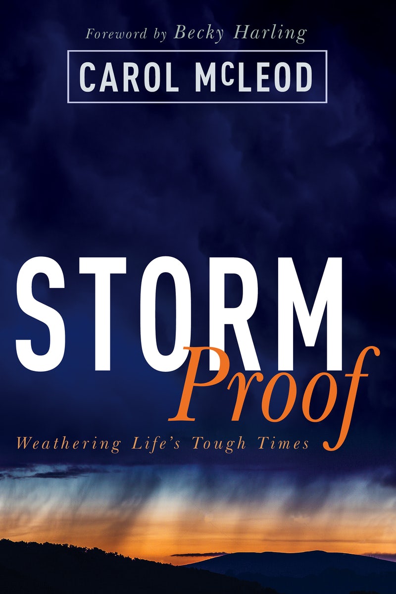 Cover image for Stormproof, isbn: 9781641232210