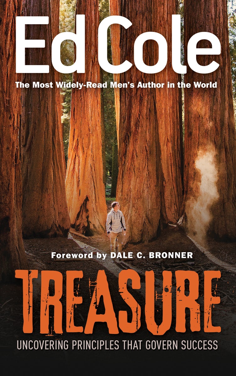 Cover image for Treasure, isbn: 9781641233774