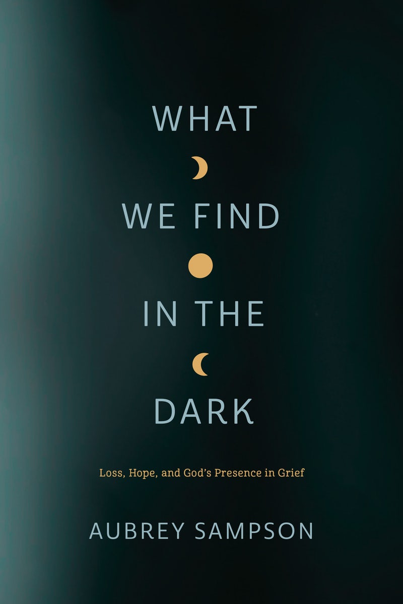 Cover image for What We Find in the Dark, isbn: 9781641583121