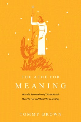 Cover image for The Ache for Meaning, isbn: 9781641586276