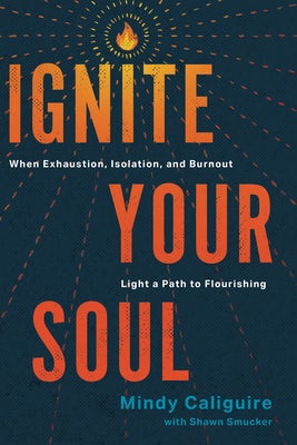 Cover image for Ignite Your Soul, isbn: 9781641588553