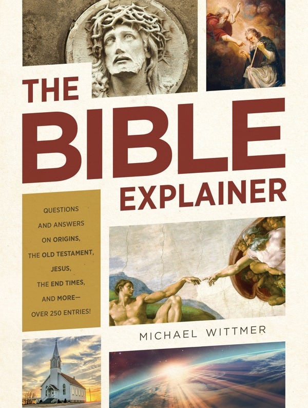Cover image for The Bible Explainer, isbn: 9781643520810
