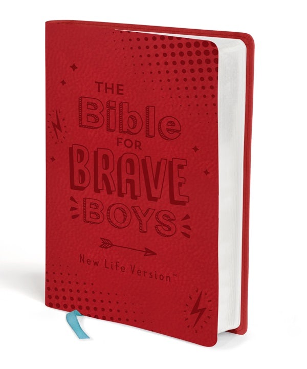 Cover image for The Bible for Brave Boys, isbn: 9781643525280