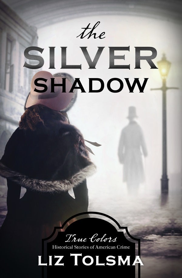 Cover image for The Silver Shadow, isbn: 9781643528342