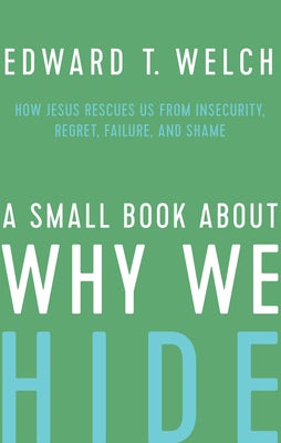 Cover image for A Small Book about Why We Hide, isbn: 9781645071419