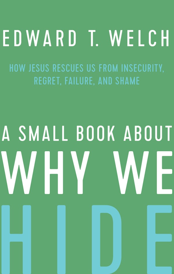Cover image for A Small Book about Why We Hide, isbn: 9781645071419