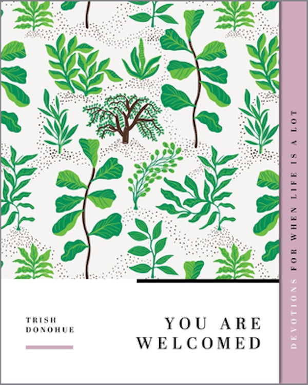 Cover image for You Are Welcomed, isbn: 9781645072379