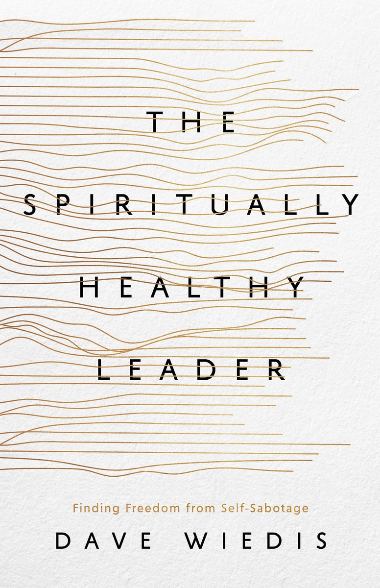 Cover image for The Spiritually Healthy Leader, isbn: 9781645074991