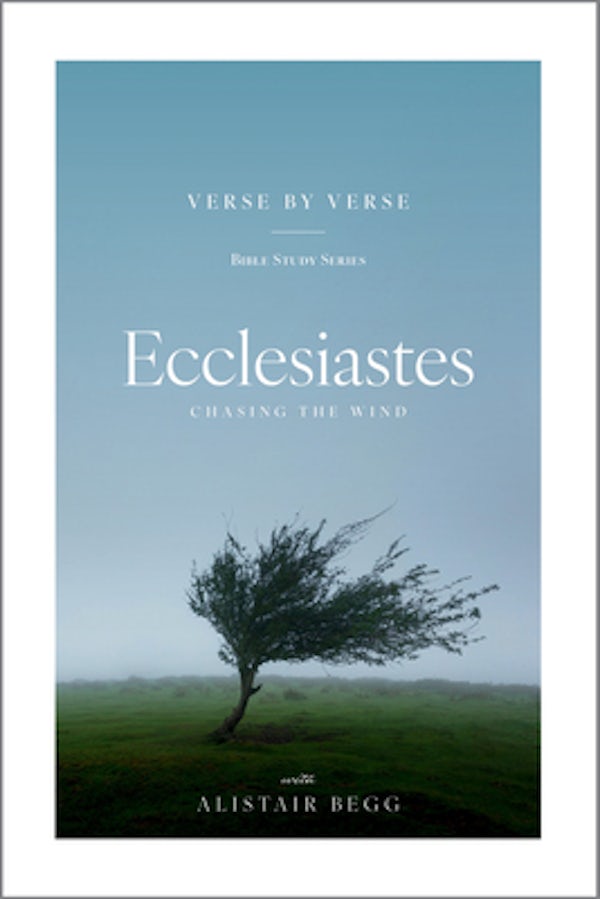 Cover image for Ecclesiastes Verse by Verse, isbn: 9781645075783