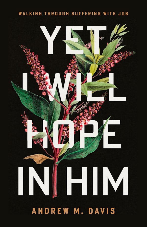 Cover image for The Yet I Will Hope in Him, isbn: 9781645076094