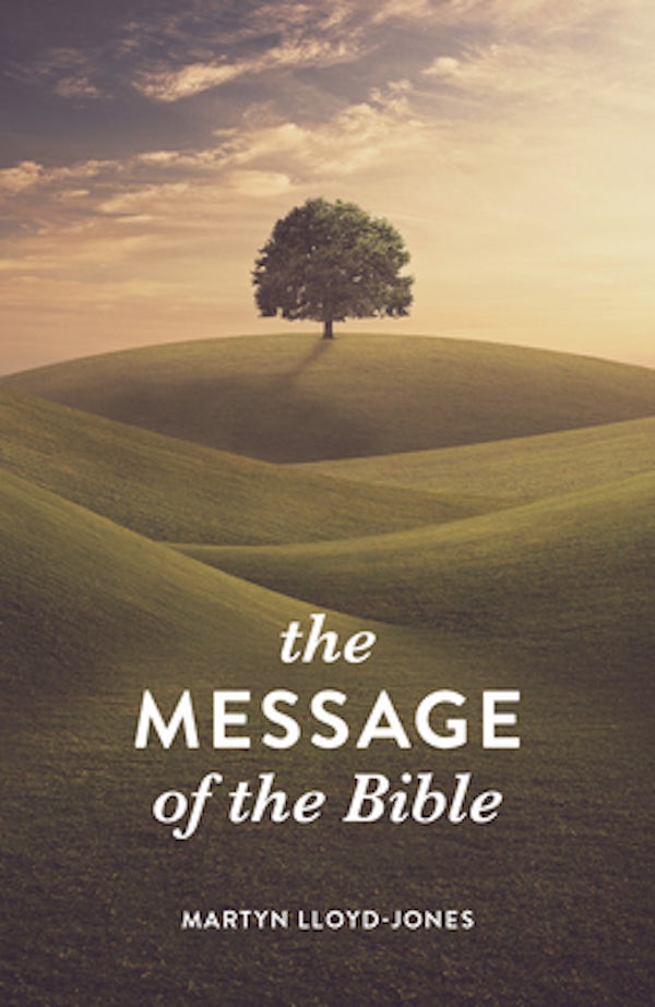 Cover image for The Message of the Bible (25-Pack), isbn: 9781682163801