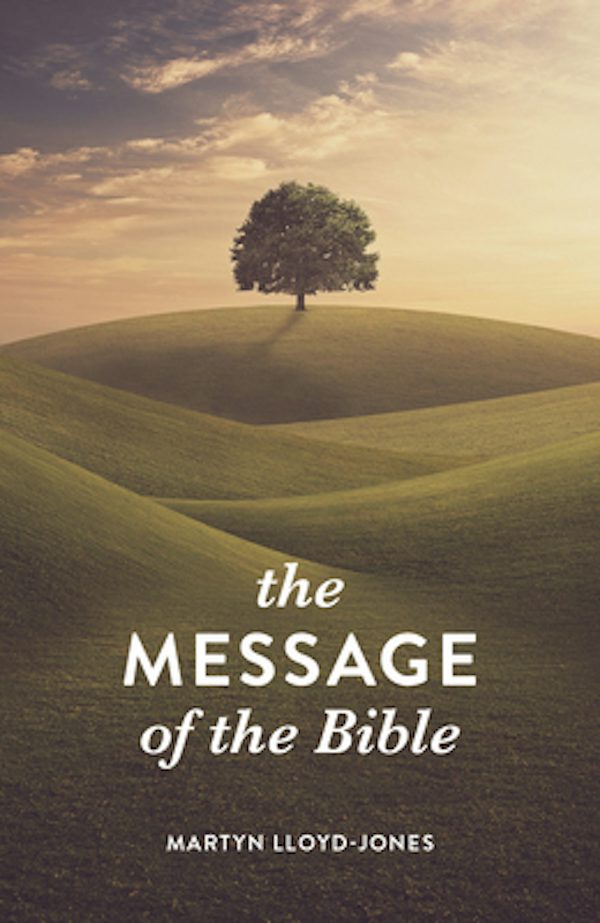 Cover image for The Message of the Bible (25-Pack), isbn: 9781682163801