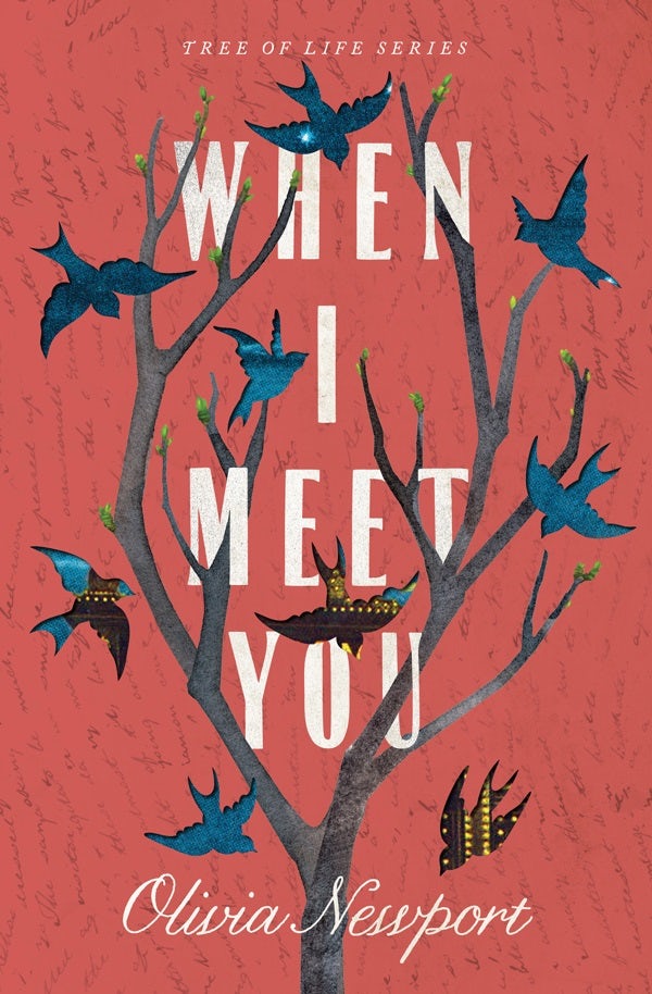 Cover image for When I Meet You, isbn: 9781683229964