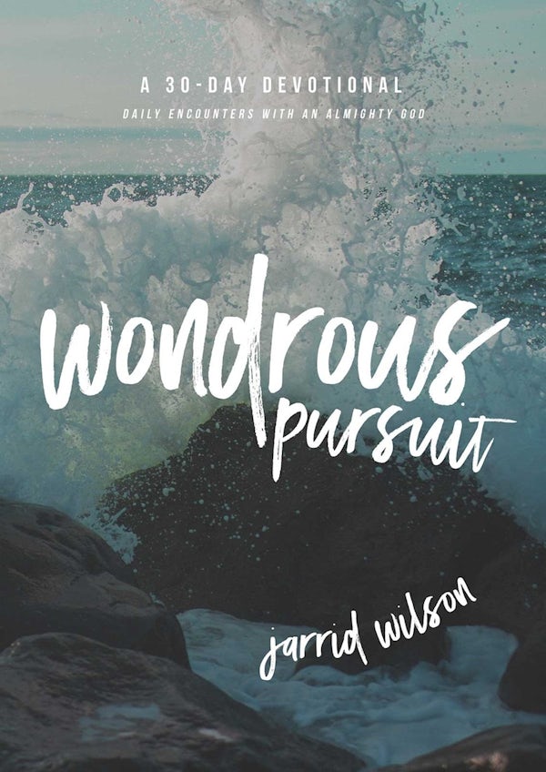 Cover image for Wondrous Pursuit, isbn: 9781683590088