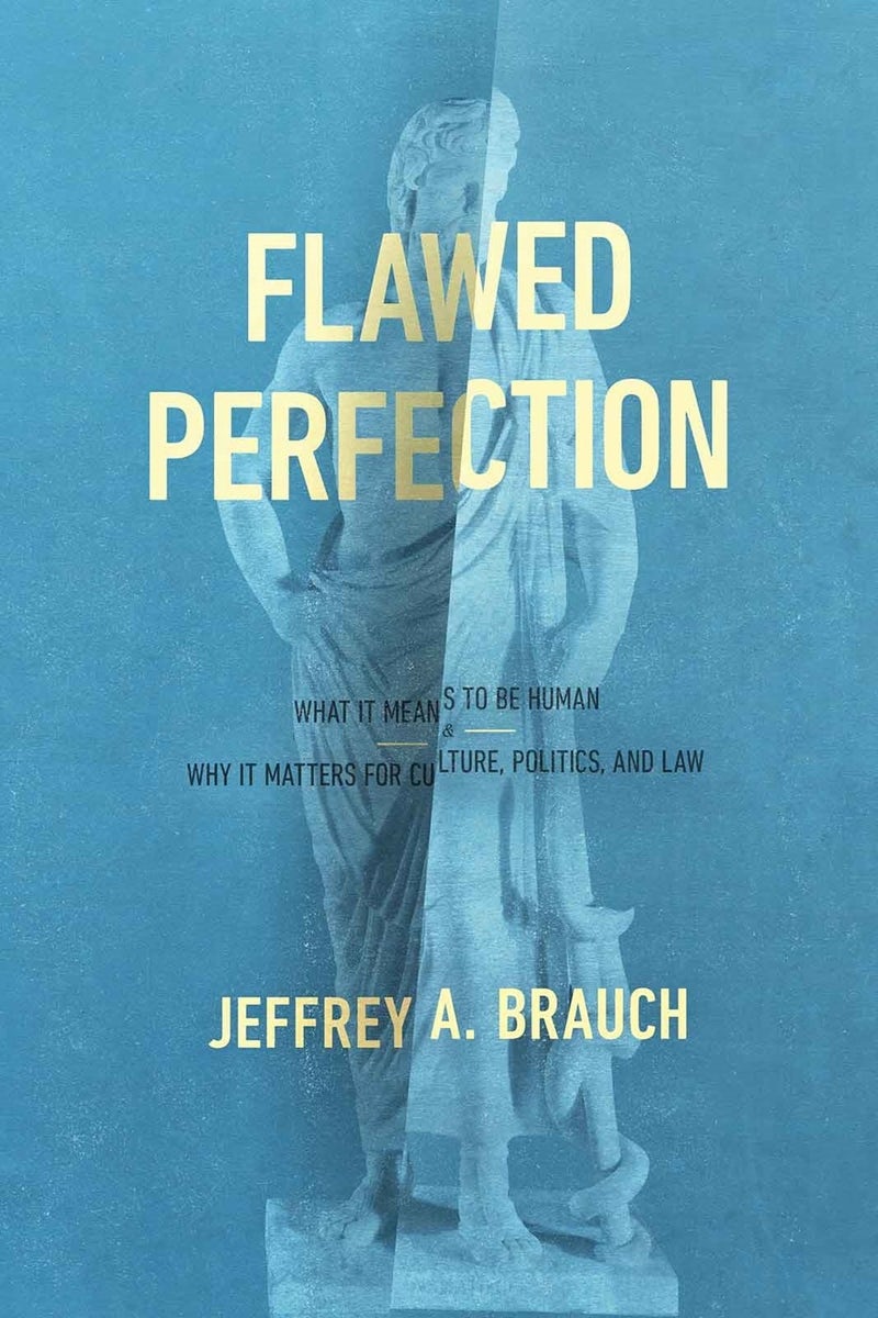 Cover image for Flawed Perfection, isbn: 9781683590248