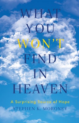 Cover image for What You Won't Find in Heaven, isbn: 9781683591900