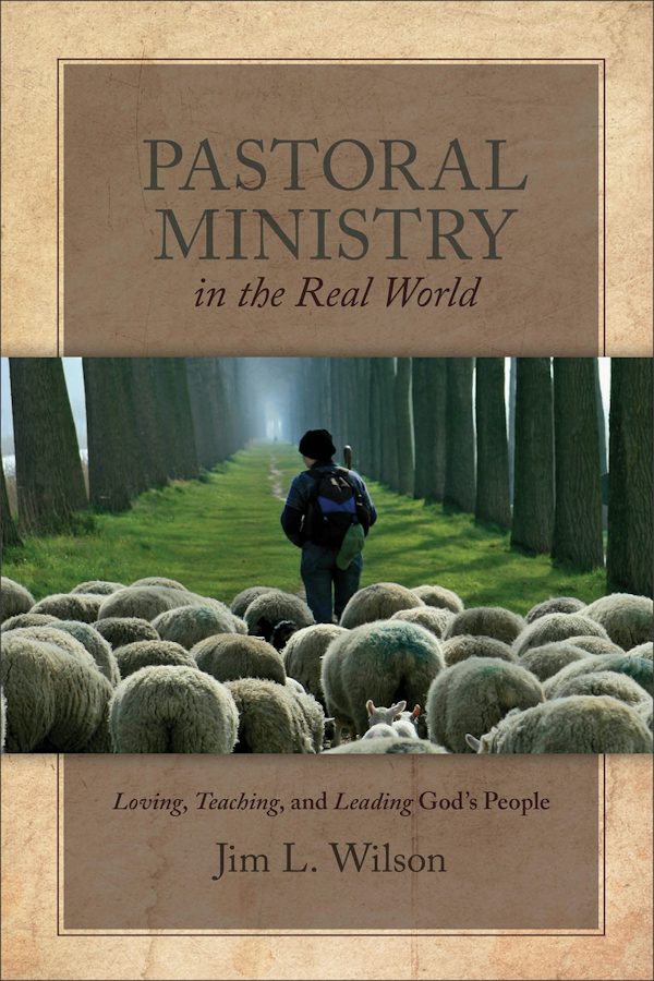 Cover image for Pastoral Ministry in the Real World, isbn: 9781683592129