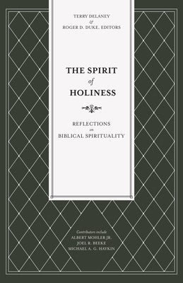 Cover image for The Spirit of Holiness, isbn: 9781683593249