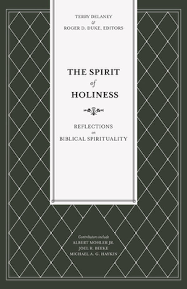 Cover image for The Spirit of Holiness, isbn: 9781683593249