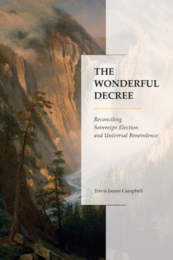 Cover image for The Wonderful Decree, isbn: 9781683593324