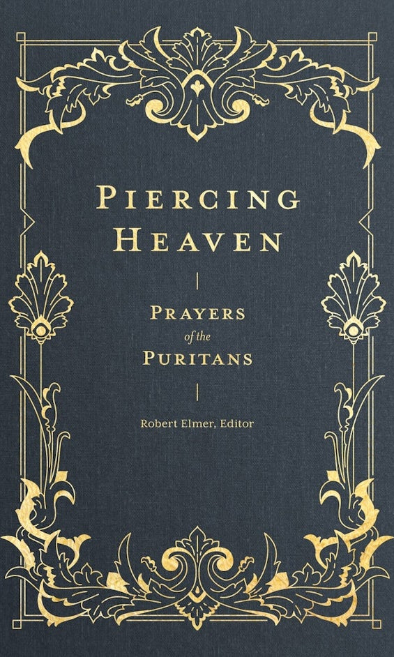 Cover image for Piercing Heaven, isbn: 9781683593348